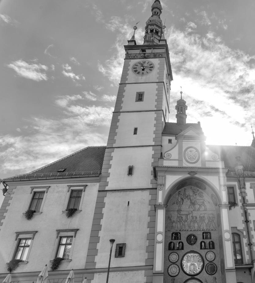 30 DŮVĚRNÉ Statutární město Olomouc Družstvo Olomouc, Jižní Družstvo Olomouc, Jiráskova Analýza závazku