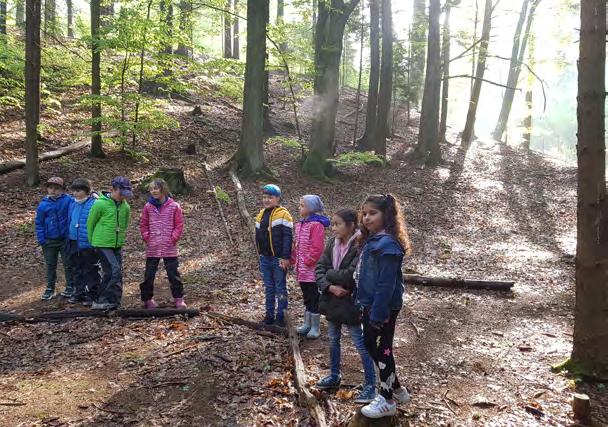 gických pracovníků, akreditační komisi a kariérním systému pedagogických pracovníků a naplňuje krajské koncepce EVVO.