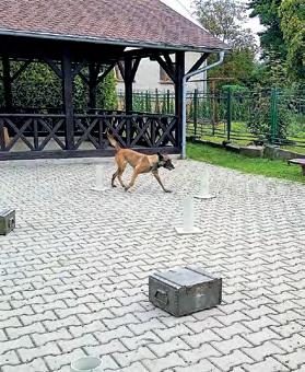 místo Šustek Jiří ZŠ Doubrava 33,62 s 2. místo Zajonc Tomáš ZŠ Dětmarovice 36,75 s 3. místo Strýček Tobiáš ZŠ Doubrava 38,18 s Kategorie dívky: 1.