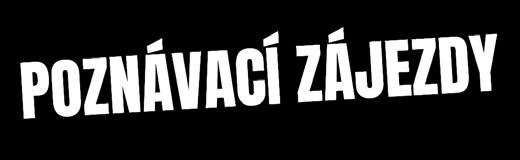 návštěva turistických či kulturních zajímavostí a minipivovarů