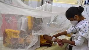 Další agens Středomořská pánev již vhodná pro rozšíření krymsko-konžské hemoragické horečky. Ohnisko horečky Dengue je méně pravděpodobné.
