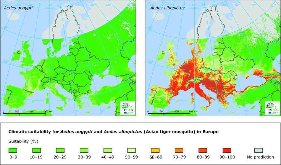 Klimatická vhodnost pro komáry v Evropě Aedes aegypti