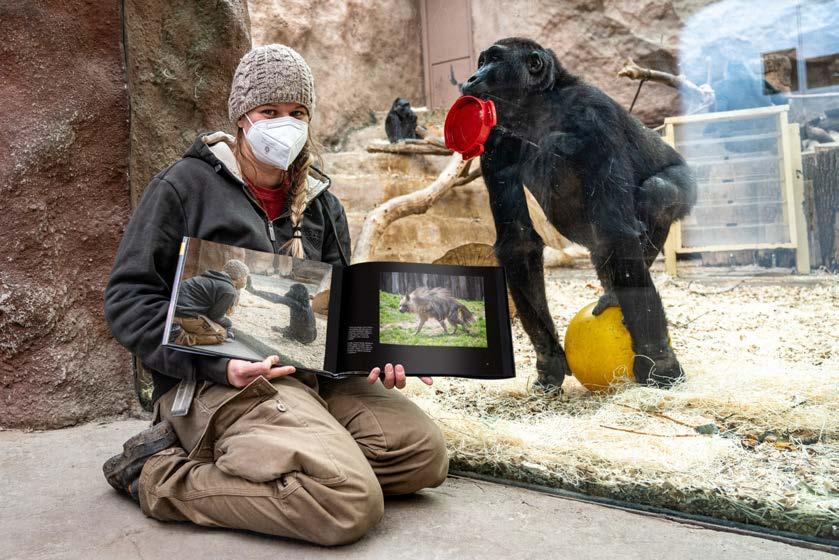 #1 Ztichlá zoo Uzavření Zoo Praha až do 15. dubna a následná opatření snižující návštěvnost vedly k mimořádnému propadu příjmů.
