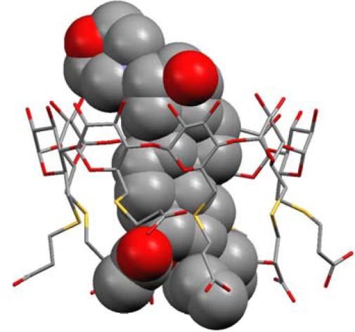 UTB ve Zlíně, Fakulta technologická 31 Spojení derivátů steroidů a - nebo -CD je příkladem vzniku vysoce stabilního komplexu (K ±10 6 dm 3 mol -1 ).