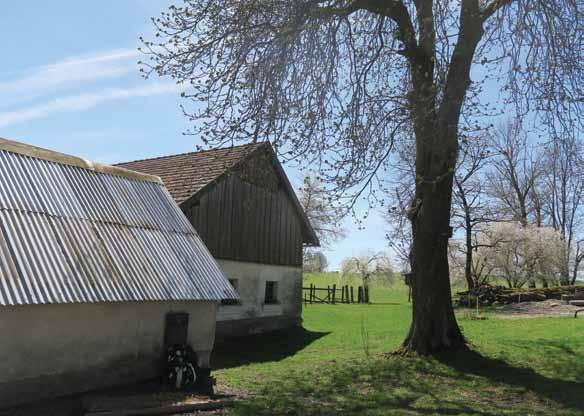 Stáj nabízí svezení dětí na dvou chladnokrevných klisnách či turistiku