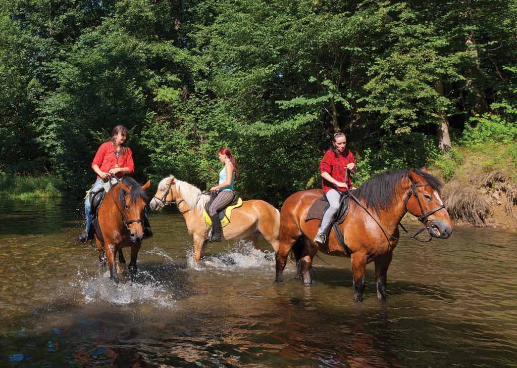 Vysočinou na koni Vydal: Vysočina Tourism, p. o.