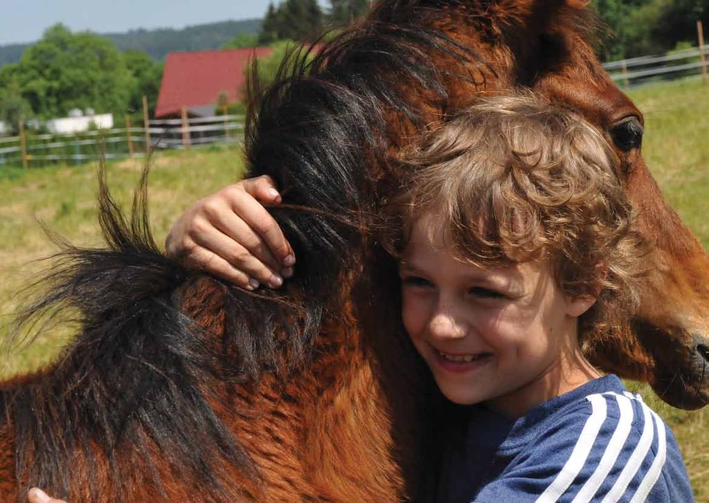 8 STÁJ BATELOV JELÍNKOVÁ Anglické ježdění, výuka, vyjížďky, skijöring.