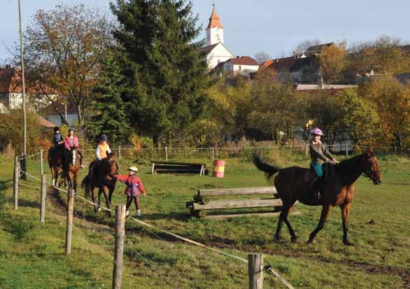 JK VIKI 9 HORNÍ ÚJEZD Horní Újezd 21, 675 22 Stařeč. 605 817 352 (Věra Zimová) vera.viki@seznam.cz jkvikyhorniujezd.wbs.