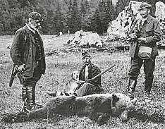 Strom, jenž začal rašit někdy kolem roku 1530, srazila v zimě 1970 vichřice.