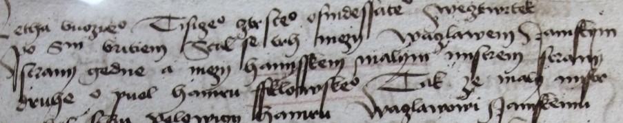 Písařská ruka F S touto písařskou rukou se v knize setkáme také poměrně často, pokrývá celé období 80. let 15. století (léta 1480 až 1489). Jsou jí psány texty na fol. 6r, 7r, 8, 9r, 10, 11v, 17-19.