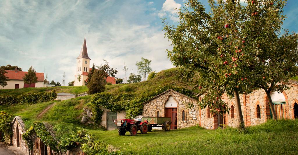 Festival Národů Podyjí. Srdečně také zveme na Divadelní festival Mikulov - Moravský Parnas Johanna Georga Gettnera, který letos slaví jubilejní 10. ročník. XXIII. Festival Národů Podyjí 15. 17. 7.