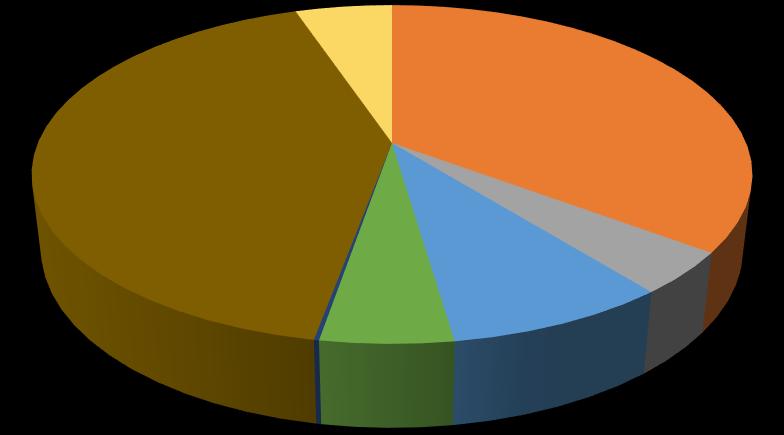 Ostatní; 27 Kadáver; 0; 0% Důvod příjmu Infekce; 0; 0% Mláďata; 183 Zranění; 218 Otrava; 1 Vysílení; 26 Výjezd; 44 Odchyt; 21 Transfér; 0; 0% Důvody příjmu do záchranné stanice za rok 2021 Stejně tak