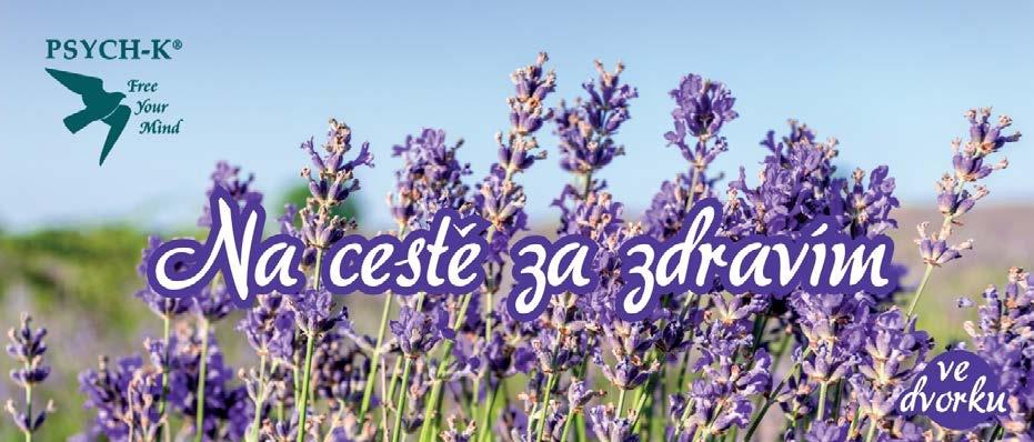 Firma Alza Expres také podpořila Ligu částkou 10 000 Kč, za kterou obdržela 500 ks kytiček. Velmi děkujeme.