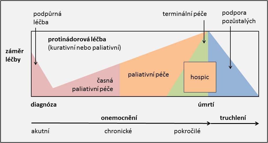 Je způsobena neschopností imunitního systému eliminovat virus a je častá u sexuálně aktivních mladých žen.