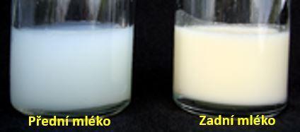Složení zralého mateřského mléka Nutriční složky ve 100 ml zralého MM bílkoviny 0,9-1,2 g cukry