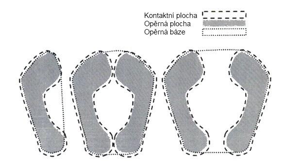 1.1.4 Biomechanické faktory posturální stability Kromě zmíněných neurofyziologických mechanismů mají na naši stabilitu vliv také faktory biomechanické.