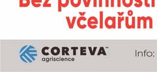 Pletiva postupně nekrotizují a v období tvorby šešulí může stonek zcela zasychat, uvnitř trouchnivět a černat.