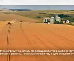 přínos 2 200 kč/ha.