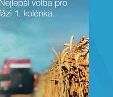 Na počátku sloupkování je také možné použít kombinaci přípravku Moddus s produkty CCC, tato kombinace je vysoce efektivní a uplatní se především v