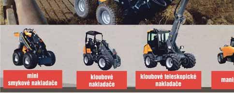 lištovýzubatý, 2 řady