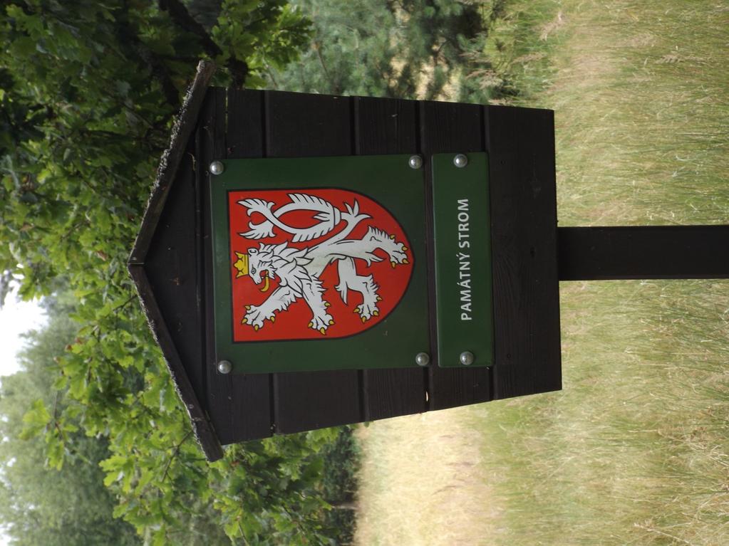 Příloha č.