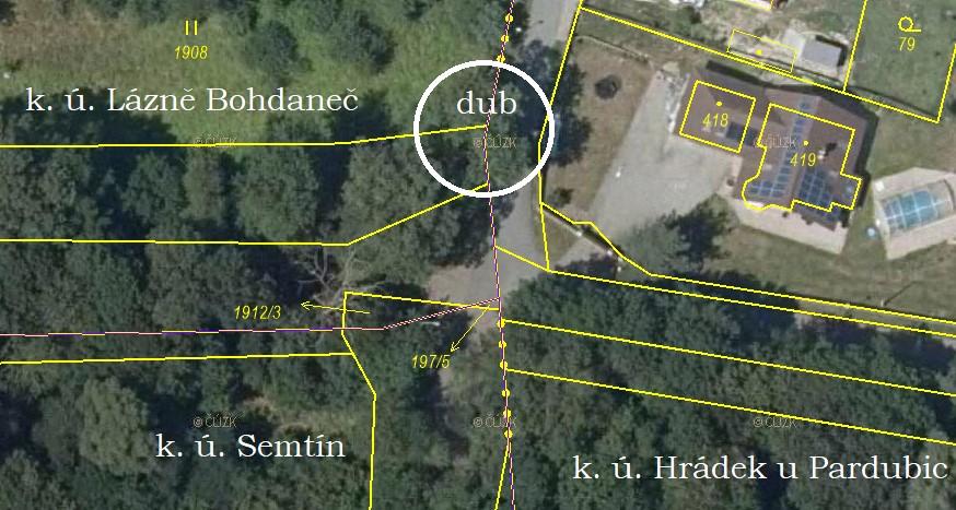 Bohdaneč. Dodnes existující strom na pohlednici z počátku 20.