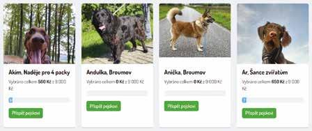 volby Františka Diviše 173, 740, 741, 838, 1595 Jindřicha Bubeníčka 1597, 1598, 1599 Karla Guta 1646 Ke Kříži 1610, 1636, 1653 Oty Bubeníčka 1611, 1612, 1637, 1638, 1639, 1654 Volební okrsek č.