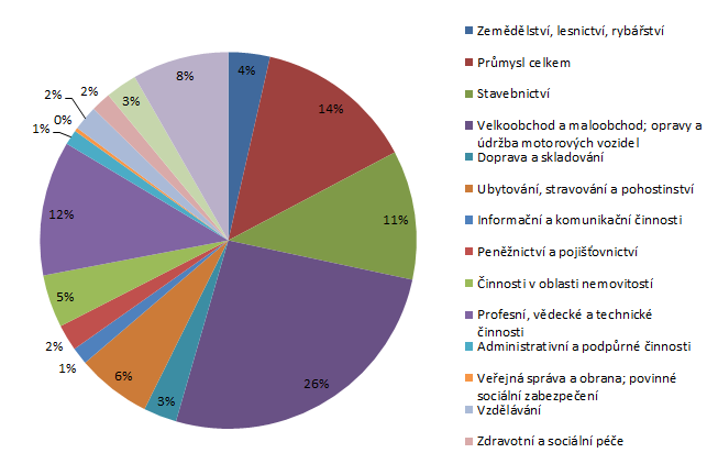 Obr. 16: Oblasti podnikání v obcích a městech MAS