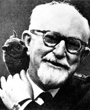 Definice druhu G.G. Simpson (1902 1984) (1961) tzv.