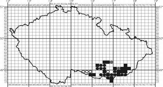 2 Rozšíření v ČR 1.2.2.1 Historické rozšíření Druh byl vždy striktně vázaný na oblast Panonie. 1.2.2.2 Recentní rozšíření Druh je rozšířen lokálně na jižní a jihovýchodní Moravě, z některých oblastí (např.