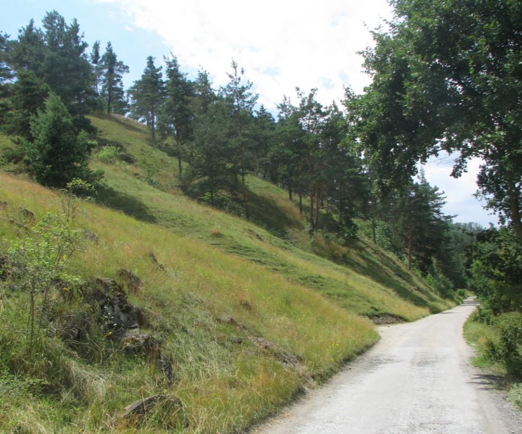 Leží v nadmořské výšce 238-272 m n.m. v převážně severně orientovaných svazích s četnými pozůstatky bývalých lůmků.