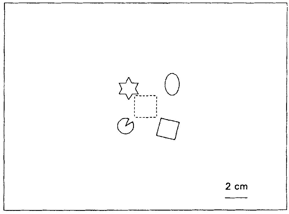 Obr. 3: Schéma experimentu Spetch and Mondloch (1993). Přerušovaný čtverec (cíl klování) nebyl pro holuby viditelný.