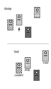Obr. 9: Schéma experimentálního uspořádání použitého Brodbeckem (1994). V první fázi se v jednom z krmítek nacházela odměna (nahoře).