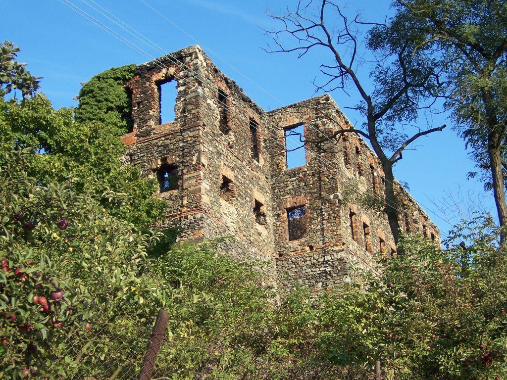 Chvatěruby ( ves u Kralup n. Vltavou ) Syn Otíka Šanovce Jindřich Šanovec pak obdržel r. 1474 od Pražanů tvrz Chvatěruby. Tvrz, později hrad, postavena byla ve 12.