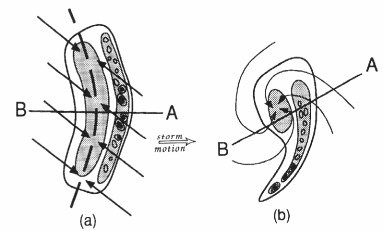 Obrázek 9: Dva možné typy horizontální struktury oblačnosti čar instability - (a) symetrická squall line, (b) asymetrická squall line [5] 4.