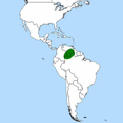 druhů Heliamphora chimantensis Neotropis 31 Amazonská podoblast Druhově nejbohatší oblast světa (40 000 druhů) Velký podíl endemických rodů Jasná podobnost s flórou