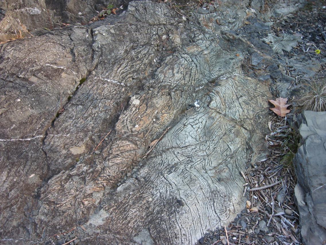 Sedimenty vystupující v nadloží i v podloží těšínitů jsou kontaktně metamorfovány do zelenošedých,