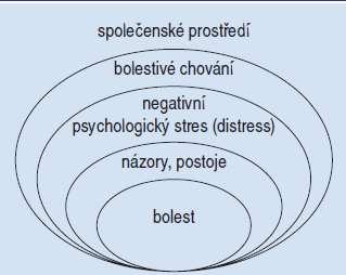 Posudkové a psychosociální aspekty bolestí zad Algický bederní syndrom (nespecifické bolesti v zádech) ve své chronické formě představuje náročný problém z hlediska určení příčiny a ovlivnění bolestí