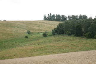 škody vznikají také obcím při odstraňování následků eroze. Špatný vodní režim krajiny vede ke splachům půdy a agrochemikálií, které znehodnocují Rozmanitá krajina vodní toky.