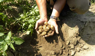 Ilustrace obchod kontrola apod. Loni to byla interpretace výsledků kontroly biopotravin v tržní síti, kterou zveřejnila Státní zemědělská a potravinářská inspekce.