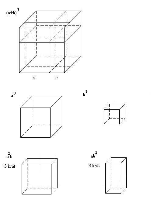 (a+b) 3 (algebraická krychle) Tento model je vhodný pro studenty s dobrou prostorovou představivostí.