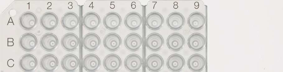 PCR Plate
