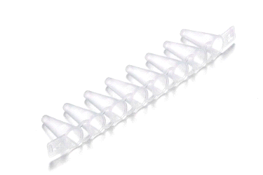 PCR Tube Strips 0.