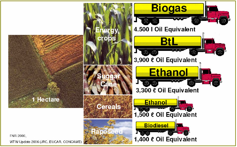 bioplynu, odhadovaných 1 500 TWh (5,4 EJ = 130 Mtoe) u bioplynu, by bylo v případě etanolu sníženo na 800 TWh (2,9 EJ = 70 Mtoe). Obrázek 9 - Účinnost různých biopaliv v dopravě, NGVA Europe 2010 1.6.