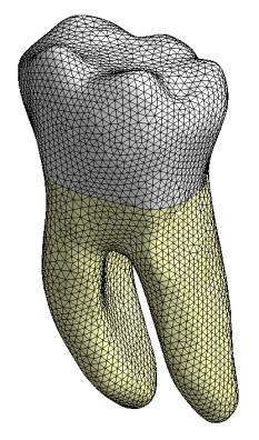 14) 80 000 0.3 Dentin (str. 14) 18 600 0.3 Kortikální kost (str. 27) 13 700 0.