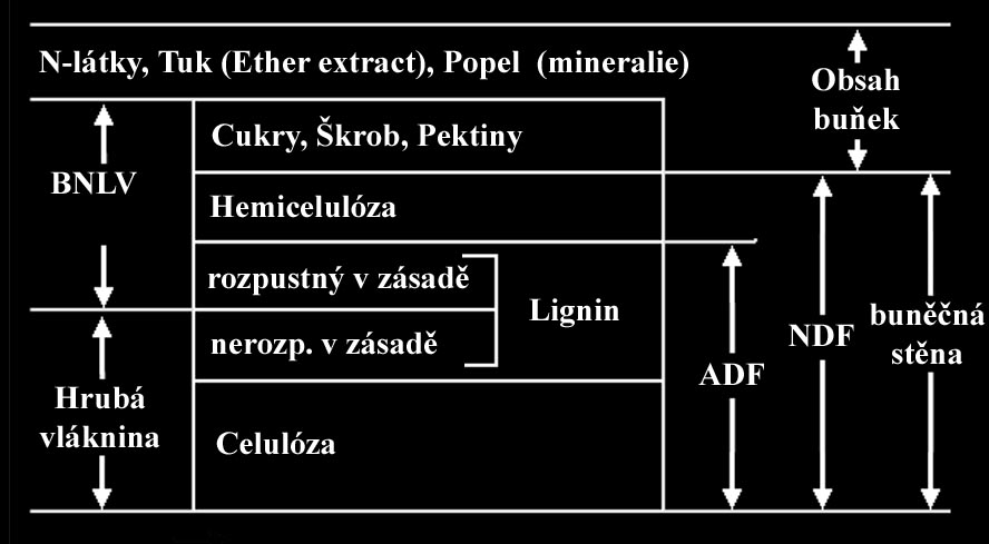 je významným zdrojem stravitelné energie. Ve Weendeském způsobu hodnocení (levá strana schématu) byla hemicelulóza zahrnuta ve frakci BNLV.