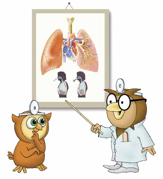 Tabulka 2. Dávkování antibiotik v dětském věku (1, 5, 13) Antibiotická skupina Dávkování A.