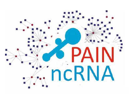 Projekt ncrnapain: Charakteristika projektu I Název: Non-coding RNAs in neurogenic and neuropathic pain mechanisms and their application for risk assessment, patient stratification and personalised