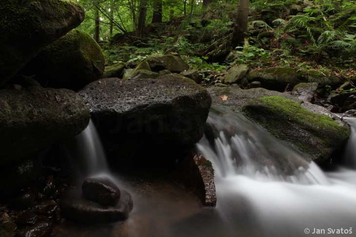 Tak se přihlaste na workshop, který vám pomůže nejen lépe porozumět fotografii, ale i sobě, jako kreativním tvůrcům Letošním hlavním tématem je řeka Vydra.