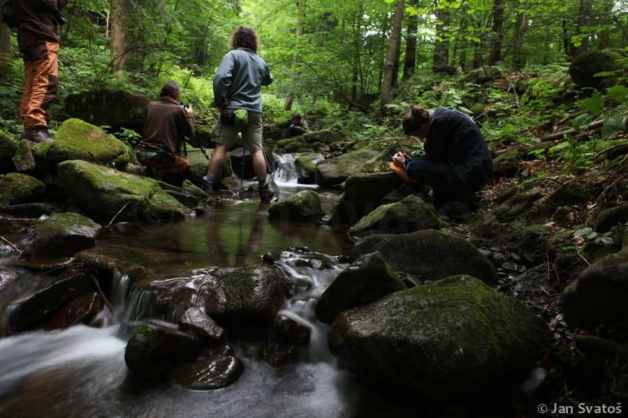 Fotoaparát je nástroj, který učí lidi jak vidět bez fotoaparátu. (Dorothea Lange) Přihlášku na workshop se zřetelným označením FOTOWORKSHOP NATURVISION 2015 zašlete nejpozději do 22.